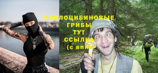 spice Баксан