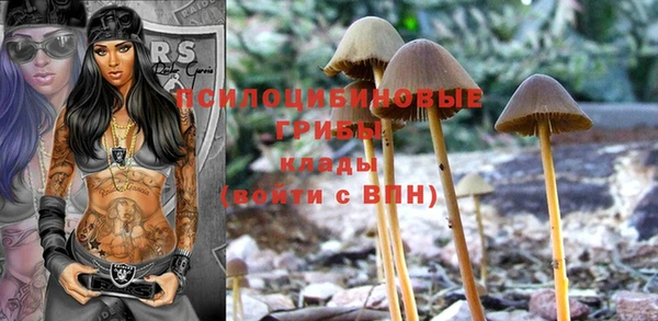 spice Баксан