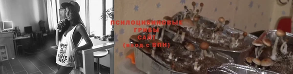 MDMA Premium VHQ Нефтекумск